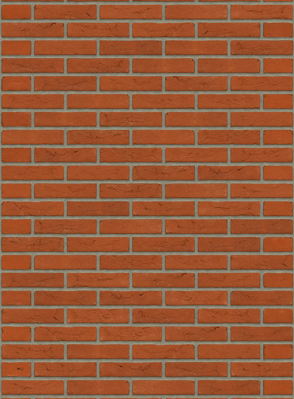 Oranje HV WF